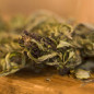 Herbatka konopna 30g / Hemp