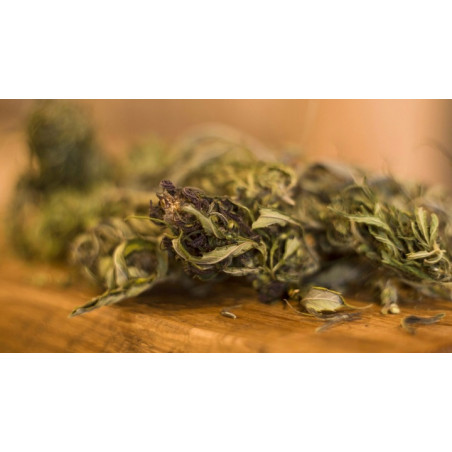 Herbatka konopna 30g / Hemp
