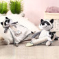 Przytulanka z zawieszką do smoczka Racoon Rocky / Babyono