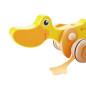 Pchacz Kaczuszka / Classic world Pchacz Kaczuszka / Classic world