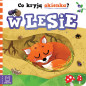 Książeczka co kryją okienka? W lesie / Aksjomat Książeczka co kryją okienka? W lesie / Aksjomat