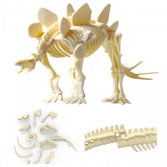 Prehistoryczny szkielet do sk艂adania Stegozaur / Woopie