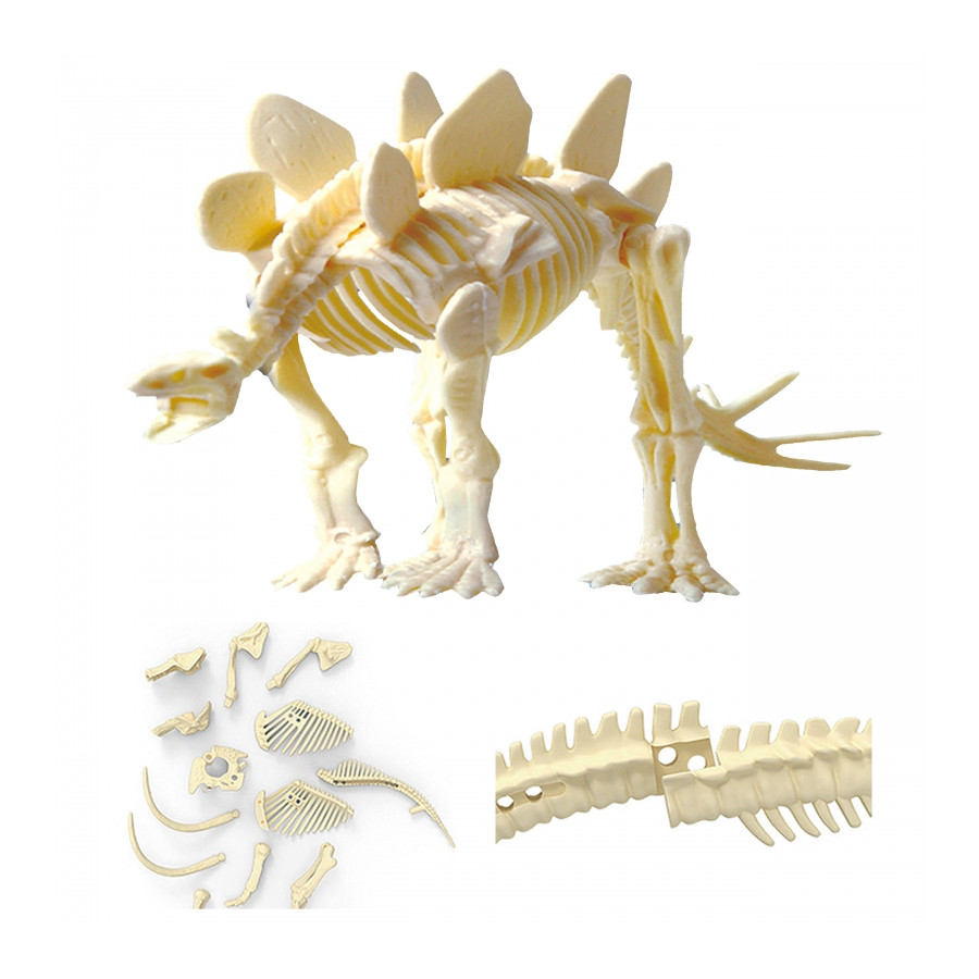 Prehistoryczny szkielet do składania Stegozaur / Woopie