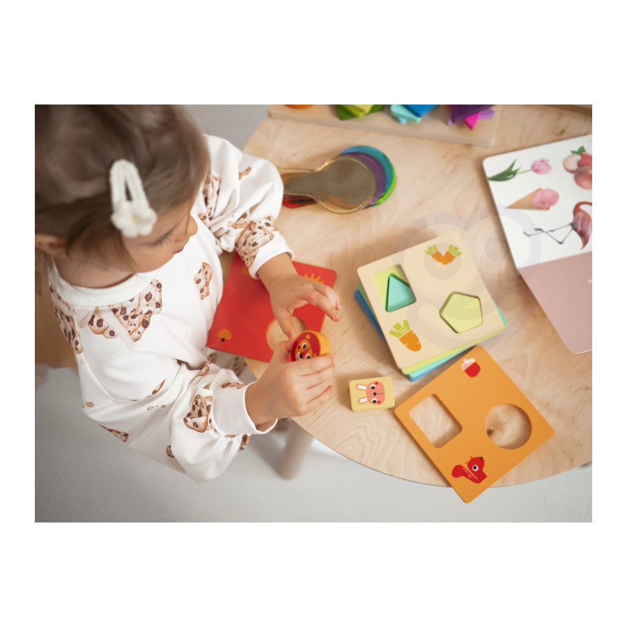 Zestaw edukacyjny Montessori 6w1 / Tooky toy