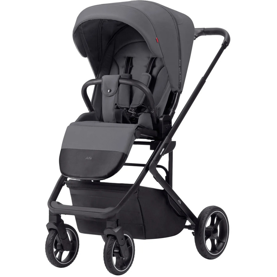 Spacerówka Alfa Graphite grey / Carrello