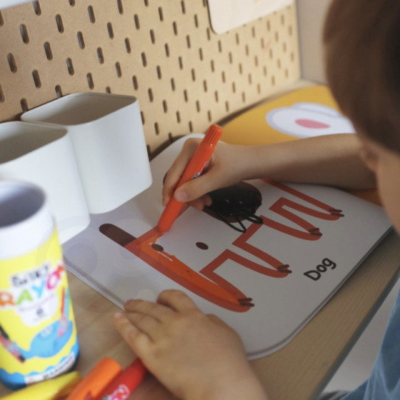 Zestaw zabawek edukacyjnych 6w1 / Tooky toy