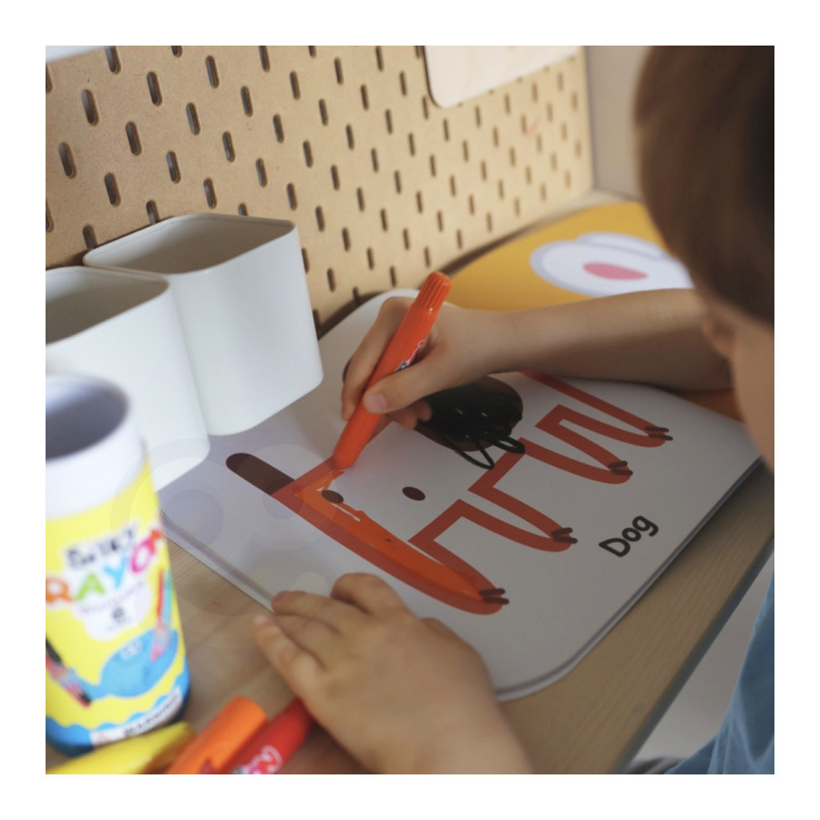 Zestaw zabawek edukacyjnych 6w1 / Tooky toy