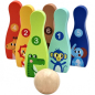 Kolorowe kręgle 6 szt. + piłka / Tooky toy Kolorowe kręgle 6 szt. + piłka / Tooky toy