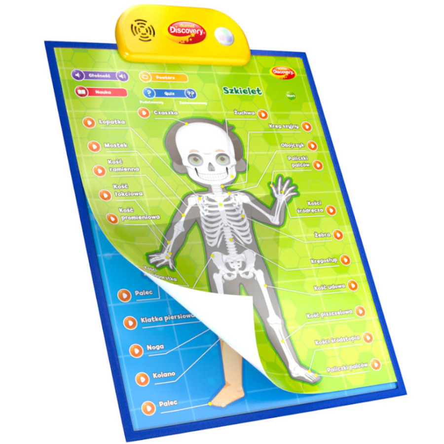 Edukacyjne plakaty Anatomia człowieka / Dumel Edukacyjne plakaty Anatomia człowieka / Dumel