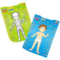 Edukacyjne plakaty Anatomia człowieka / Dumel Edukacyjne plakaty Anatomia człowieka / Dumel