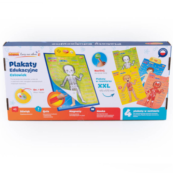 Edukacyjne plakaty Anatomia człowieka / Dumel