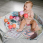 Mata edukacyjna Funny farm / Babyono