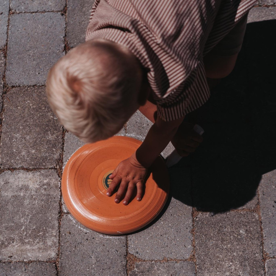 Latający dysk Frisbee z trzciny cukrowej Orange / Dantoy