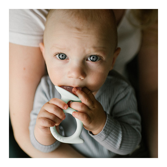 Gryzak silikonowy Ślimaczek różowy / Babyono