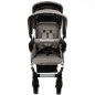 Wózek spacerowy do żłobka Lidoo Ergondrive Grey 3-osobowy / Familidoo