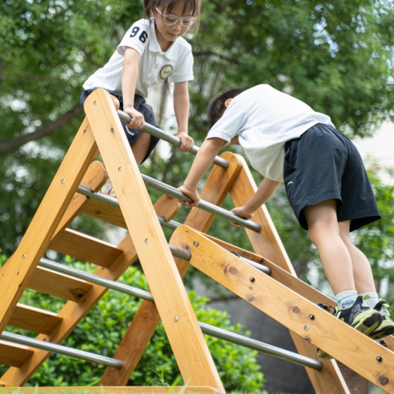 Drabinka montessori do wspinaczki / Classic World