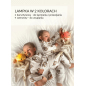 Szumiący lisek Dou Dou - 5w1 / Szumisie Szumiący lisek Dou Dou - 5w1 / Szumisie