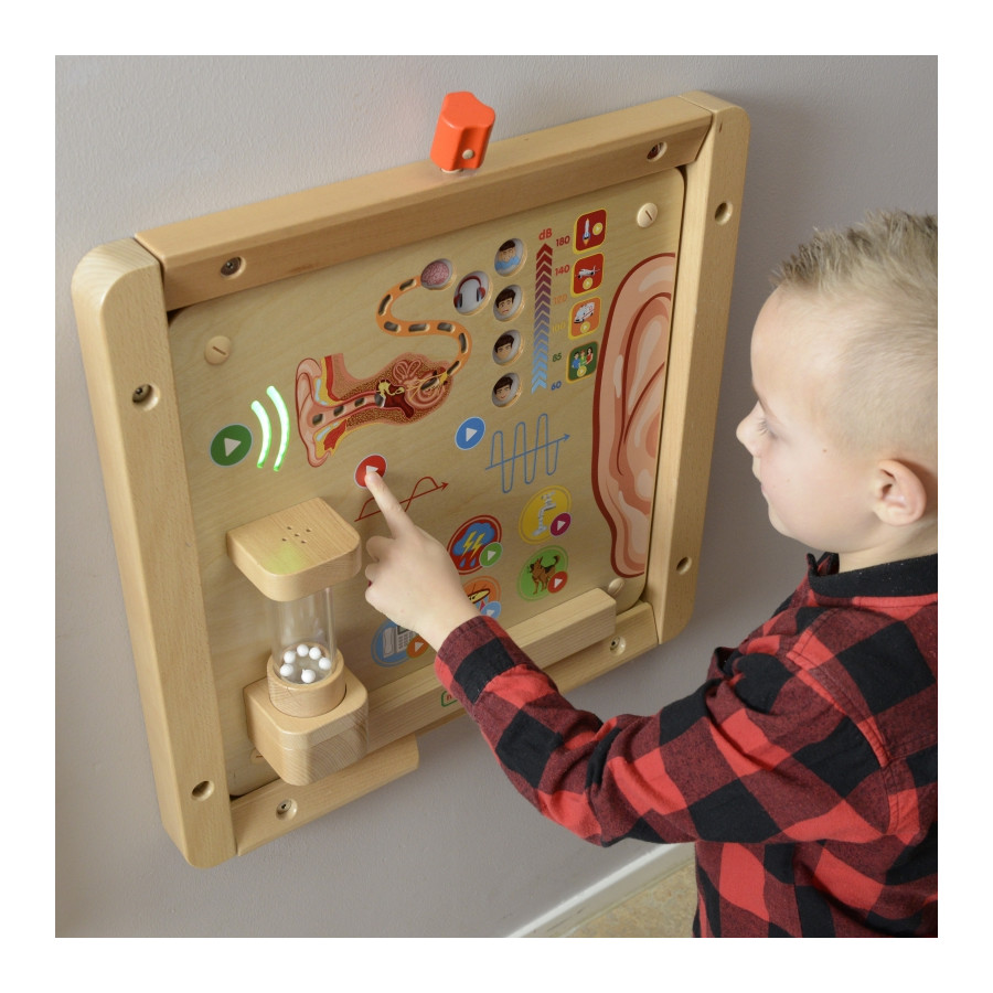 Tablica edukacyjna Zmysł słuchu / Masterkidz