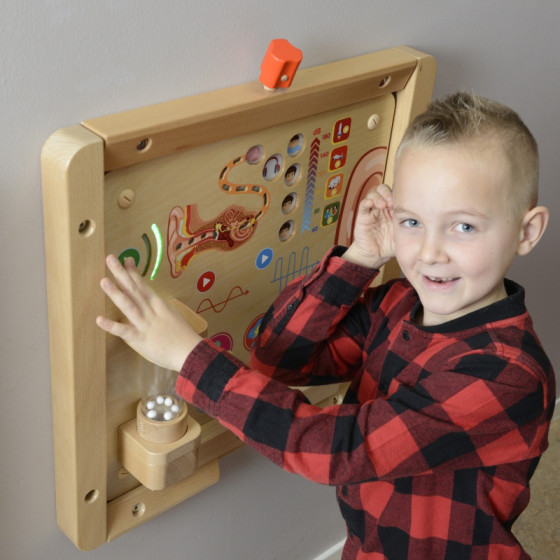 Tablica edukacyjna Zmysł słuchu / Masterkidz