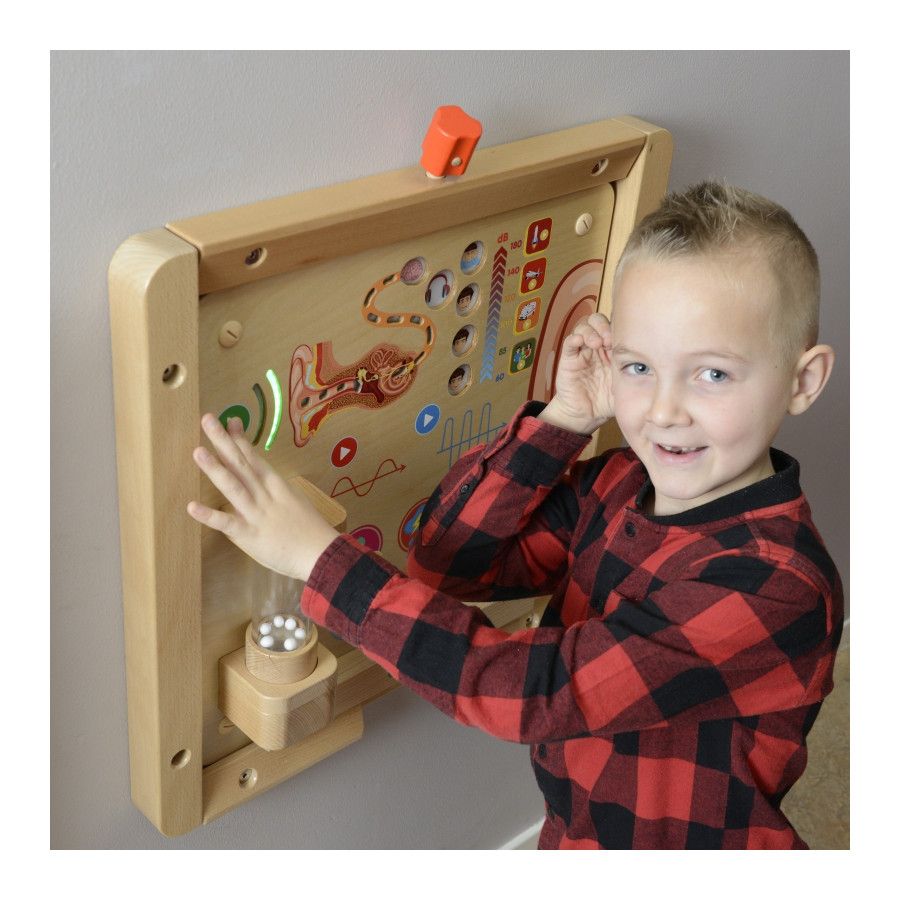 Tablica edukacyjna Zmysł słuchu / Masterkidz