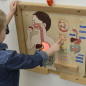Tablica edukacyjna Układ trawienny / Masterkidz