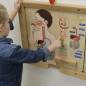 Tablica edukacyjna Układ trawienny / Masterkidz