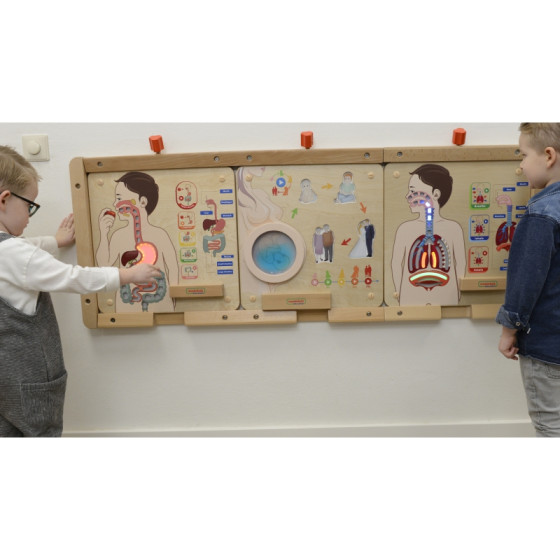 Tablica edukacyjna Układ trawienny / Masterkidz