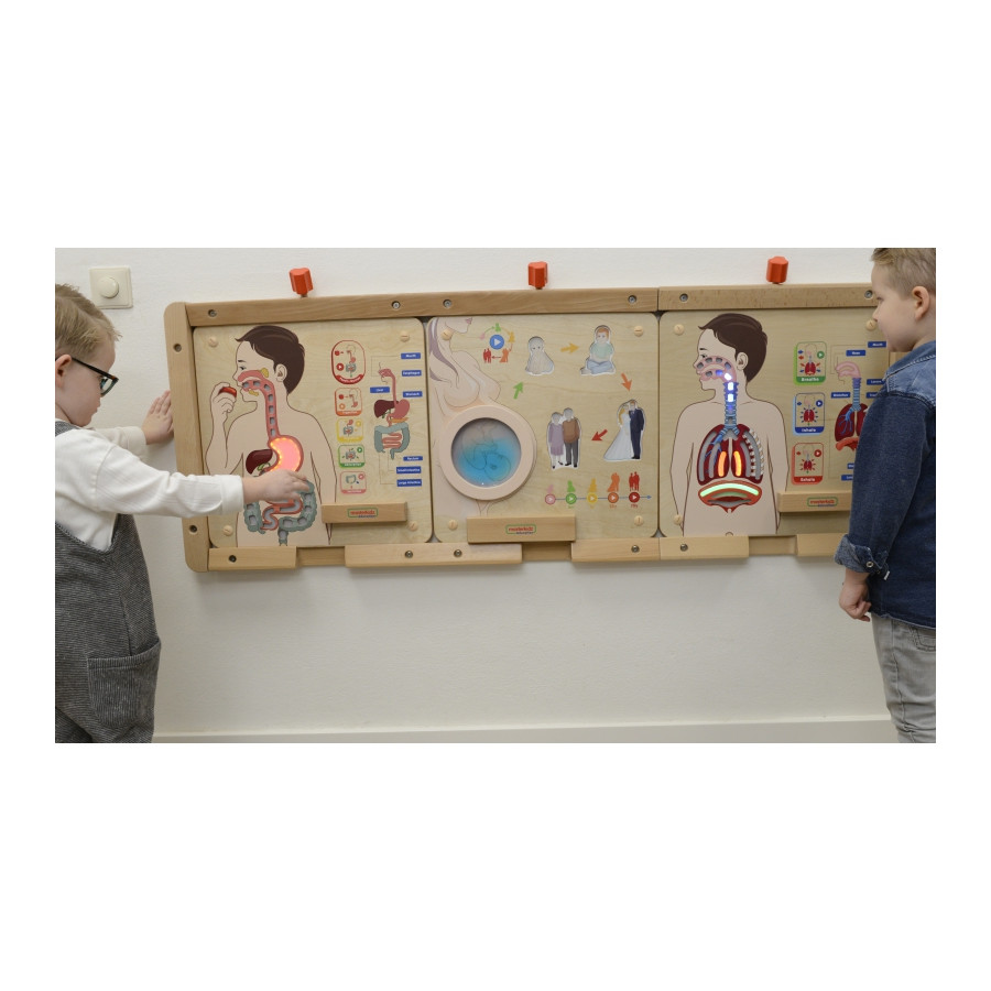 Tablica edukacyjna Układ trawienny / Masterkidz