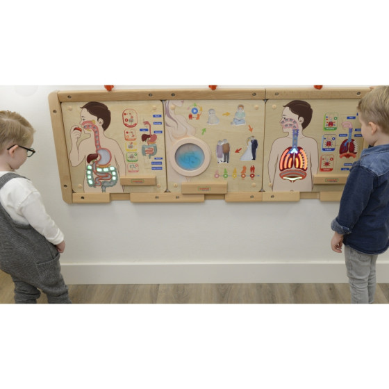 Tablica edukacyjna Układ trawienny / Masterkidz