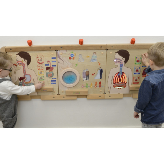 Tablica edukacyjna Układ oddechowy / Masterkidz