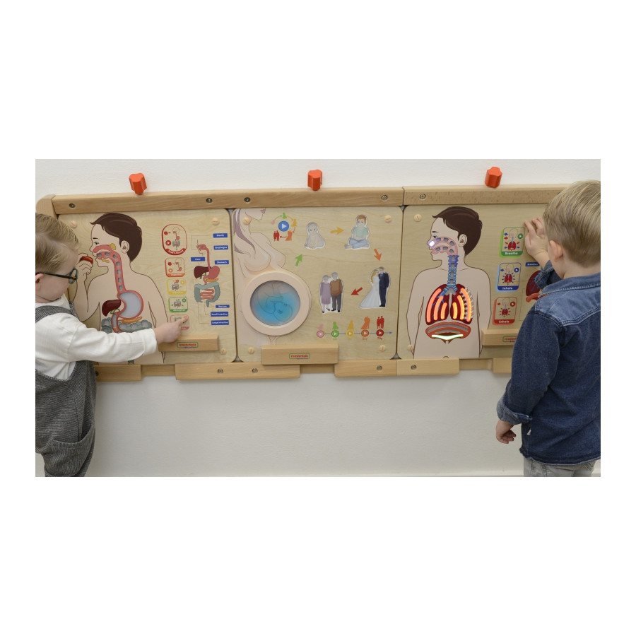 Tablica edukacyjna Układ oddechowy / Masterkidz