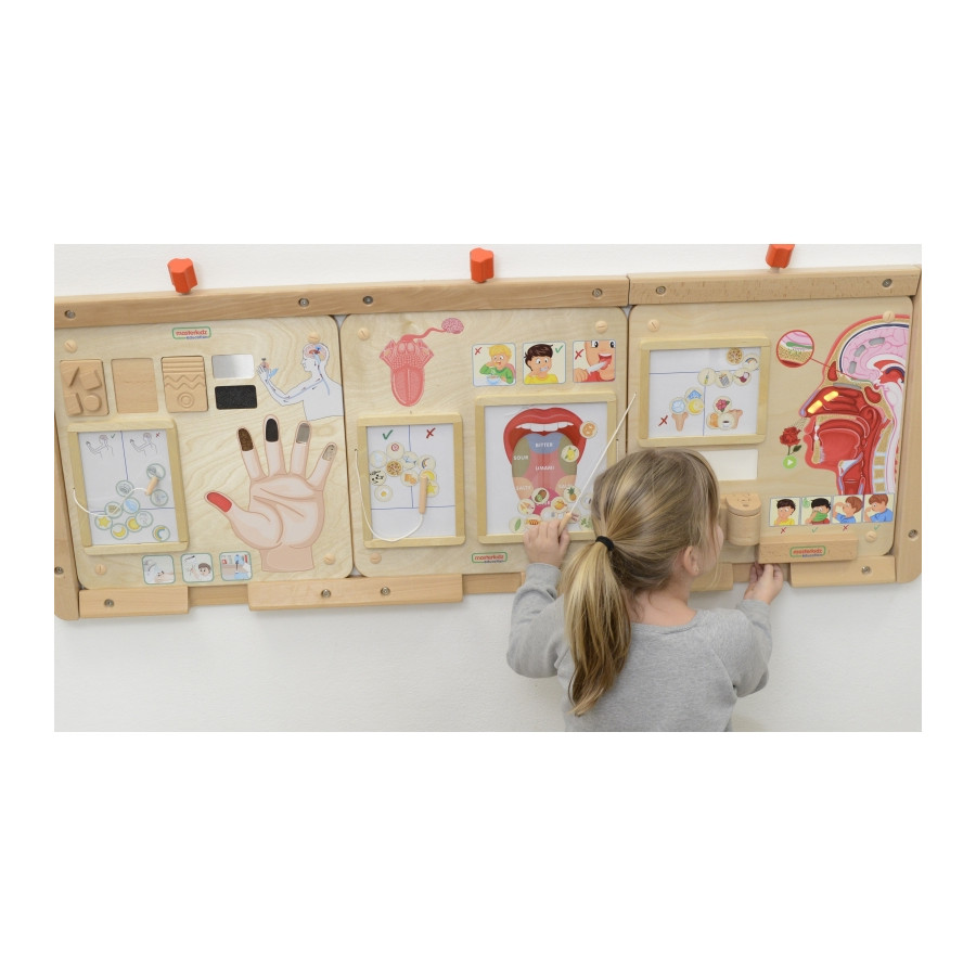 Tablica edukacyjna Zmysł węchu / Masterkidz