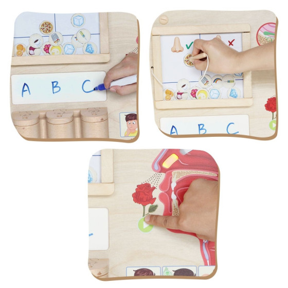 Tablica edukacyjna Zmysł węchu / Masterkidz