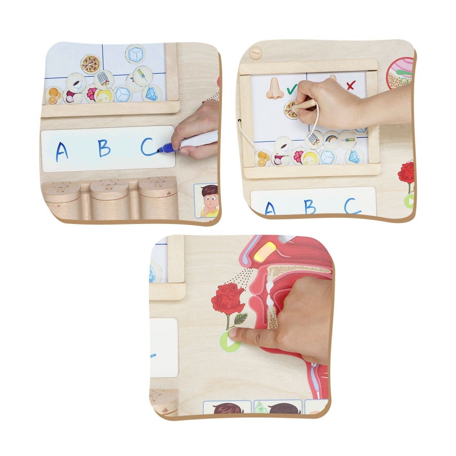 Tablica edukacyjna Zmysł węchu / Masterkidz