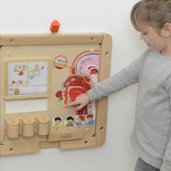 Tablica edukacyjna Zmysł węchu / Masterkidz