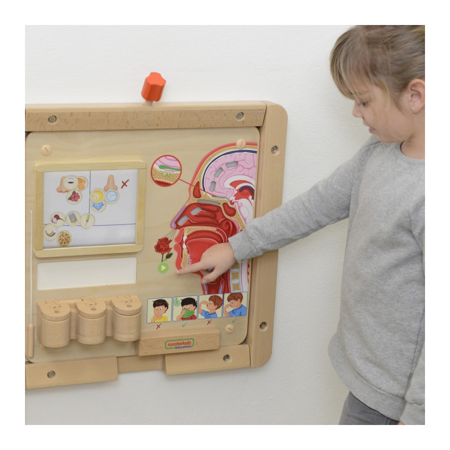 Tablica edukacyjna Zmysł węchu / Masterkidz