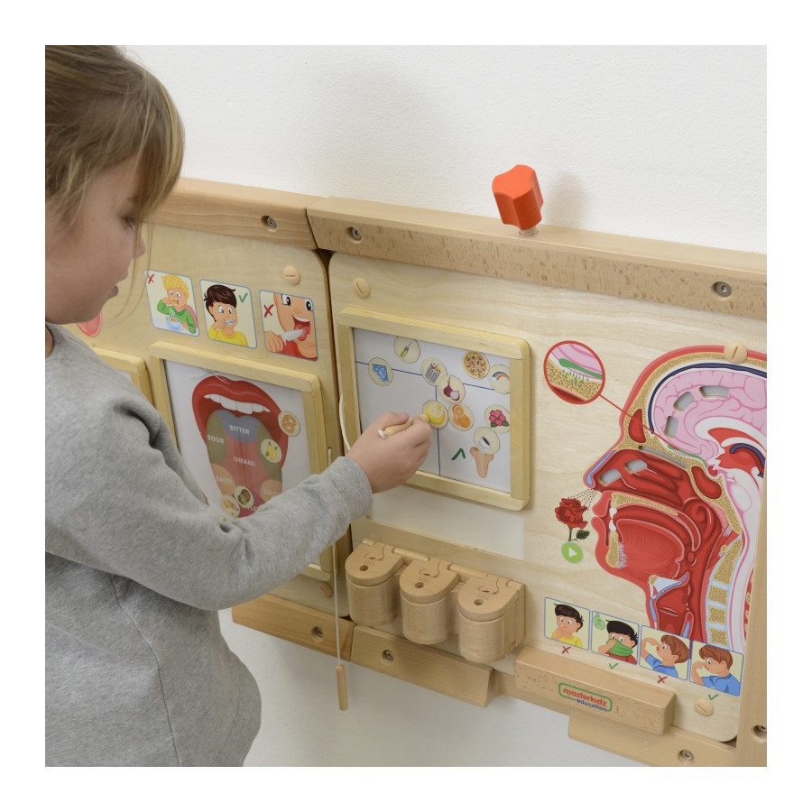 Tablica edukacyjna Zmysł węchu / Masterkidz