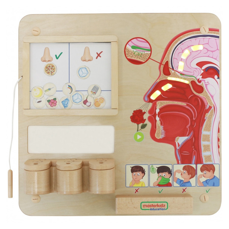 Tablica edukacyjna Zmysł węchu / Masterkidz