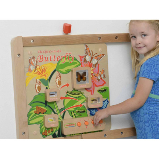 Tablica edukacyjna Cykl życia motylka / Masterkidz
