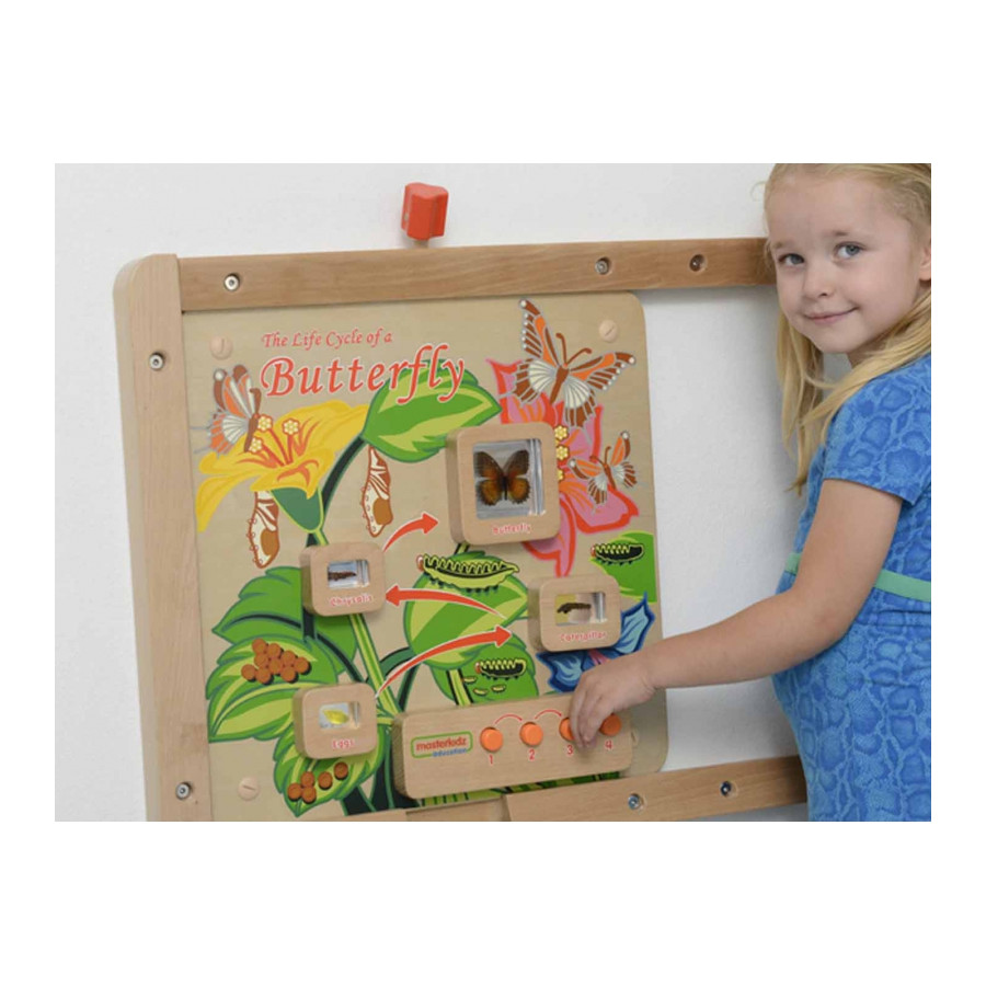 Tablica edukacyjna Cykl życia motylka / Masterkidz