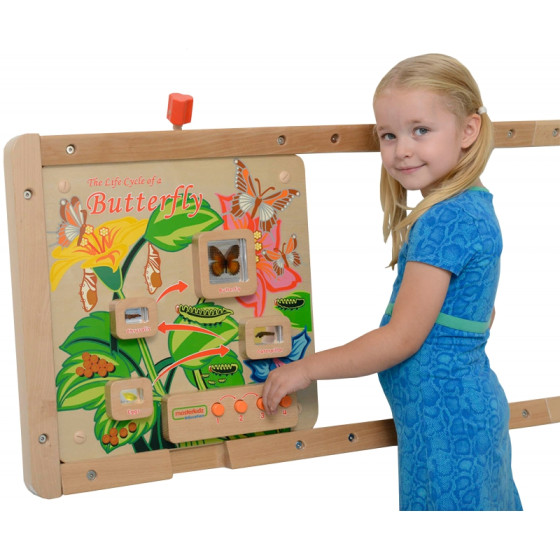 Tablica edukacyjna Cykl życia motylka / Masterkidz