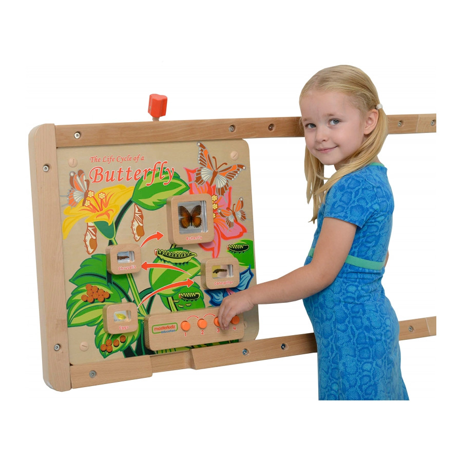Tablica edukacyjna Cykl życia motylka / Masterkidz