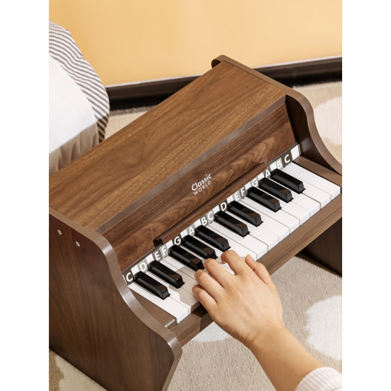 Pianino + książeczka do nauki gry / Classic World