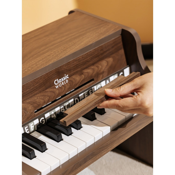 Pianino + książeczka do nauki gry / Classic World
