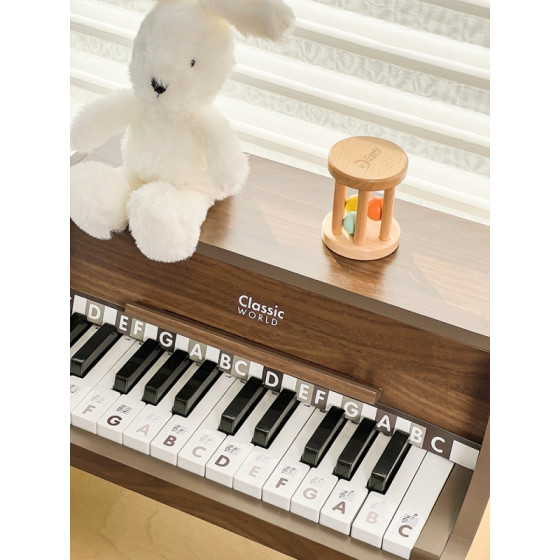 Pianino + książeczka do nauki gry / Classic World