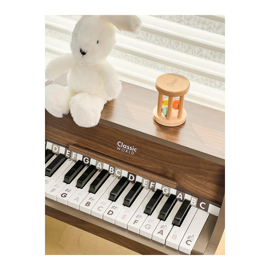 Pianino + książeczka do nauki gry / Classic World