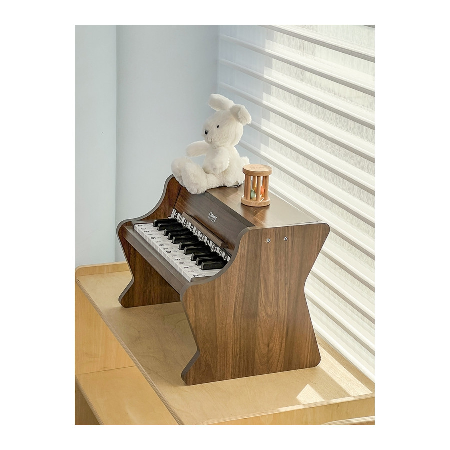 Pianino + książeczka do nauki gry / Classic World