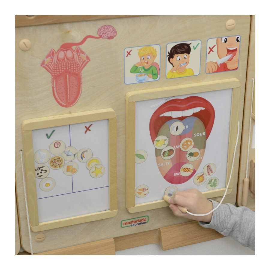 Tablica edukacyjna Zmysł smaku / Masterkidz