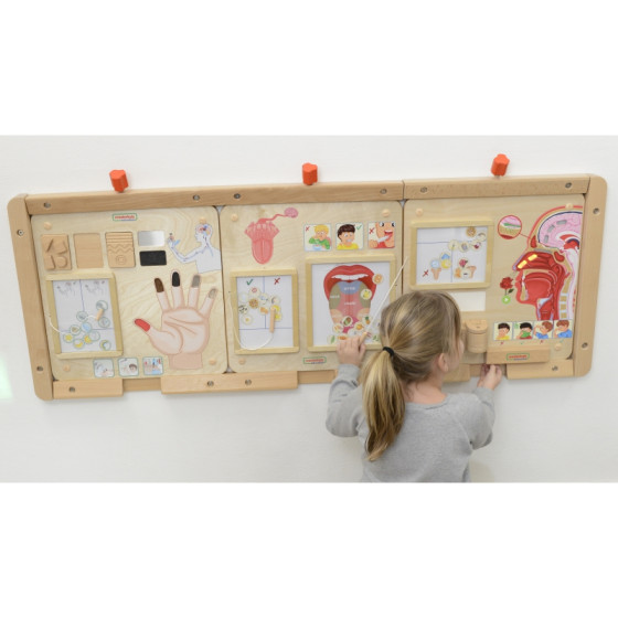 Tablica edukacyjna Zmysł smaku / Masterkidz