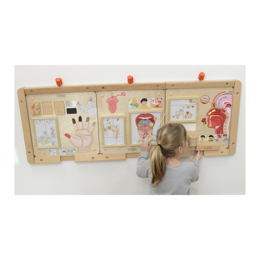 Tablica edukacyjna Zmysł smaku / Masterkidz